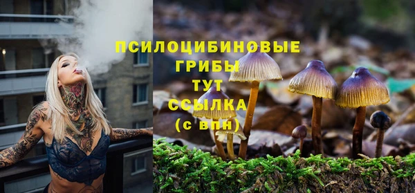героин Богданович