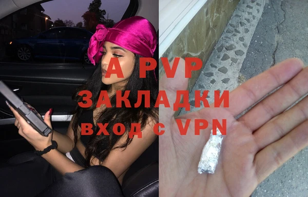 ГАЛЛЮЦИНОГЕННЫЕ ГРИБЫ Белокуриха